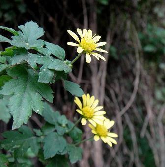 对友谊失望透顶的句子