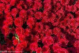 适合早上发朋友圈的句子 早安正能量简单一句话汇总39句