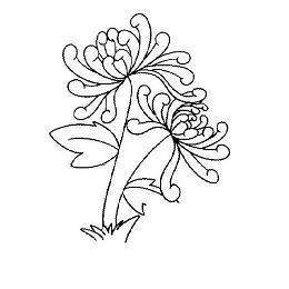 描述喝咖啡的唯美句子 喝咖啡的心情唯美句子(精选39句)