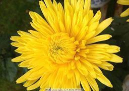 无法诉说的委屈的句子大全推荐30句