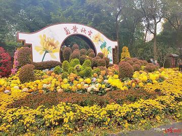 每日晨语简单正能量早安心语精选39句
