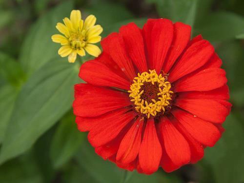 感谢朋友的话语