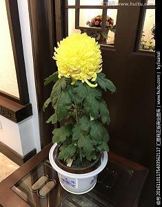 抖音结婚表白句子23句