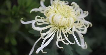 思考人生的经典句子(精选78句)