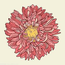 纪念爱情逝去的句子 逝去爱情的句子(精选29句)