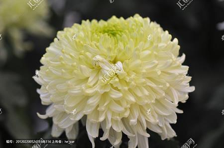 早安调皮的毒鸡汤汇总31句