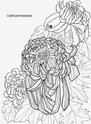 描写雨的优美语句摘抄