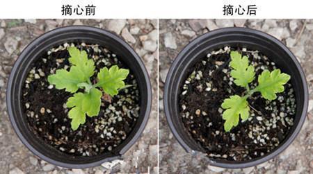 我对工作失望的句子
