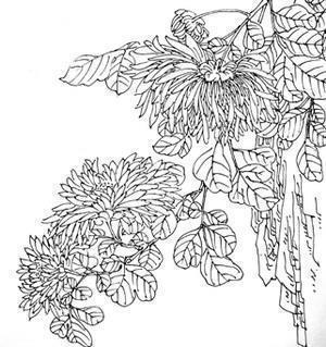 九月你好说说唯美文字句子(精选108句)