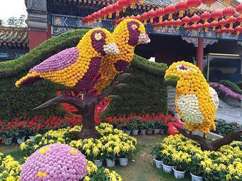 赞美故宫的句子 故宫的优美句子38句