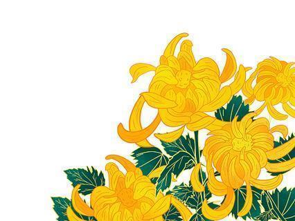 抖音回首2020展望2021感慨句子103句