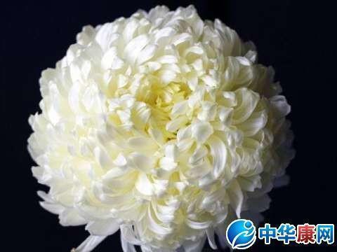 迎接挑战的句子经典语录