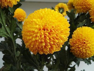 把头笑掉的沙雕文锦集20句