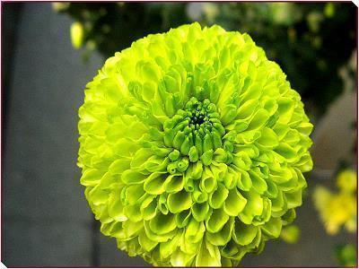 神兽开学了幽默搞笑文案 神兽回笼的心情说说发朋友圈(精选27句)