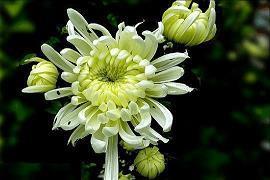 成长感悟的句子摘抄