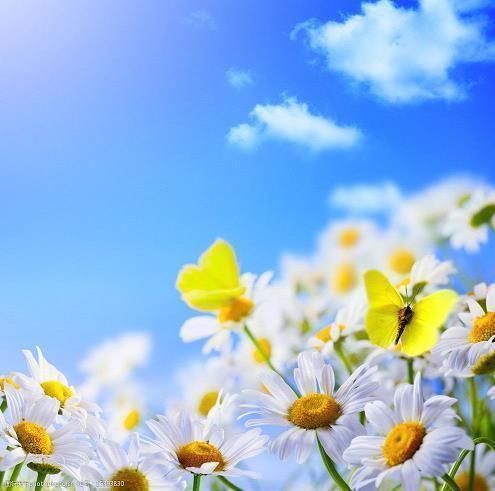 教师节祝福暖心唯美的文案语句精选95句