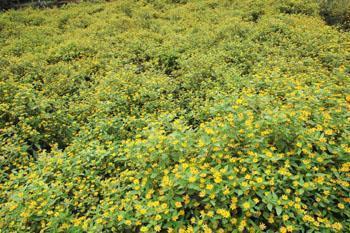 运动会加油稿100字左右(精选42句)