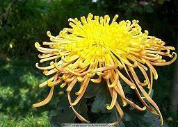 女生伤心的句子