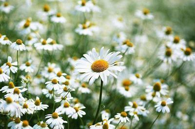 陪伴孩子最暖心一段话 陪伴孩子成长的说说推荐62句