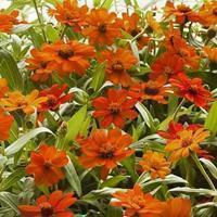 表达一个人想放手了太累的句子27句