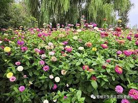 脾气暴躁的说说 脾气好和不会生气那是两码事