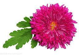 早安最温暖简单一句话 一句话的早安心语精选80句