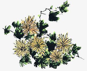 晚安心语简短一句话发朋友圈2021年推荐80句