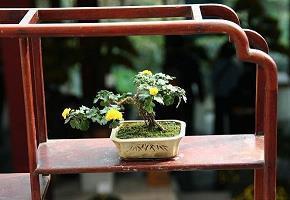 离别心情说说 离别不舍的句子(精选55句)