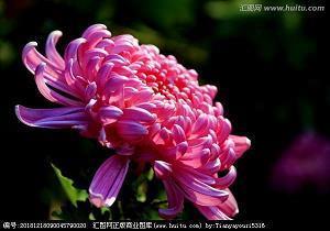 早安友谊问候语 高情商的人说早安语句推荐80句