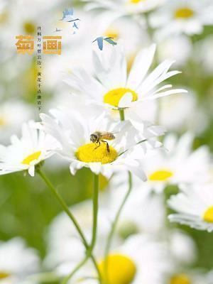 春季唯美句子