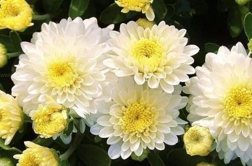 适合发说说的唯美句子大全合集34句