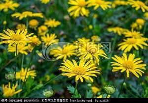 2021五一劳动节祝福短信