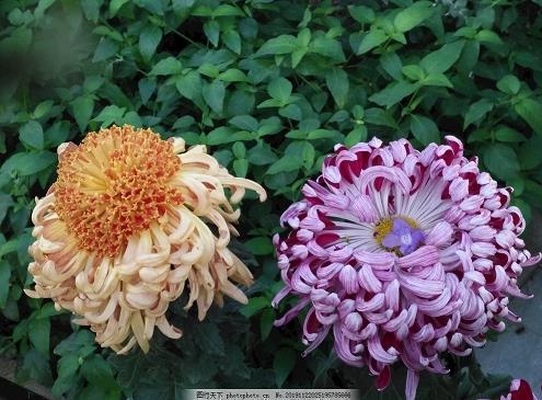 写神态开心的句子 形容开心的神态有哪些