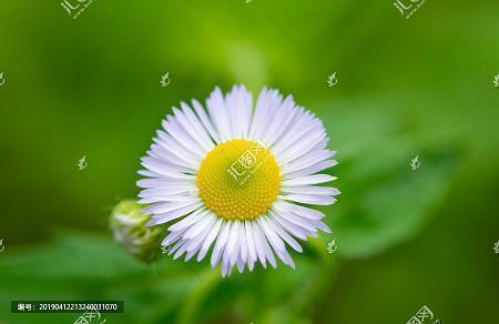 早上好祝福语优美句子 2021最新早安问候语合集68句