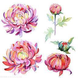 两个人在一起的感情说说短句子