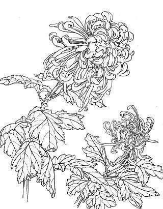 萌芽经典句子100句