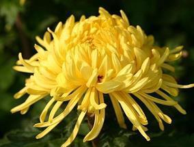 您好十月励志句子唯美 10月您好文案经典(精选51句)