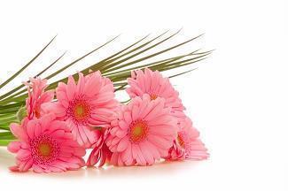 心碎不爱的句子