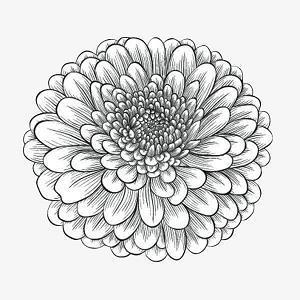 闺蜜聚餐的幽默说说40句