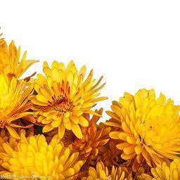 对异地爱情失望的句子