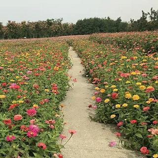 记住美好回忆的句子 充满美好回忆的句子40句