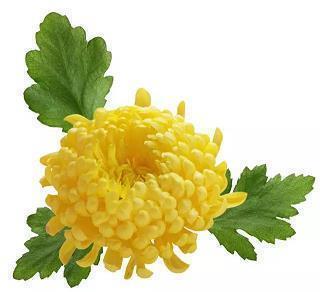 注重细节的文案(精选30句)