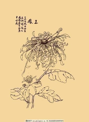 给已婚女人的情话 打动已婚女人心的句子