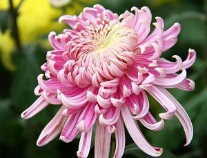 关于爱情走心的句子