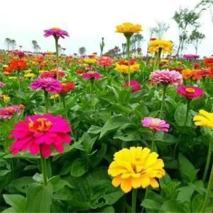 老人与海好词好句