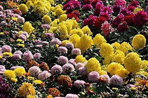 抖音晚安优美短语2021年