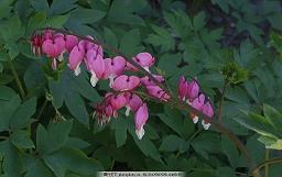 抖音很火正能量句子 最火励志句子48句