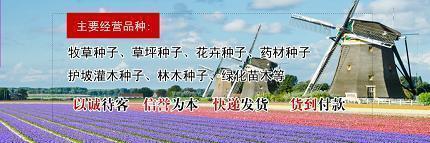 【精华】适合发朋友圈的晚安语 如何温馨的说晚安汇编88句