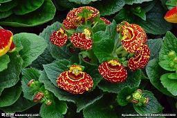 写给未来自己努力的话