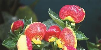 关于心灵的人生感悟句子